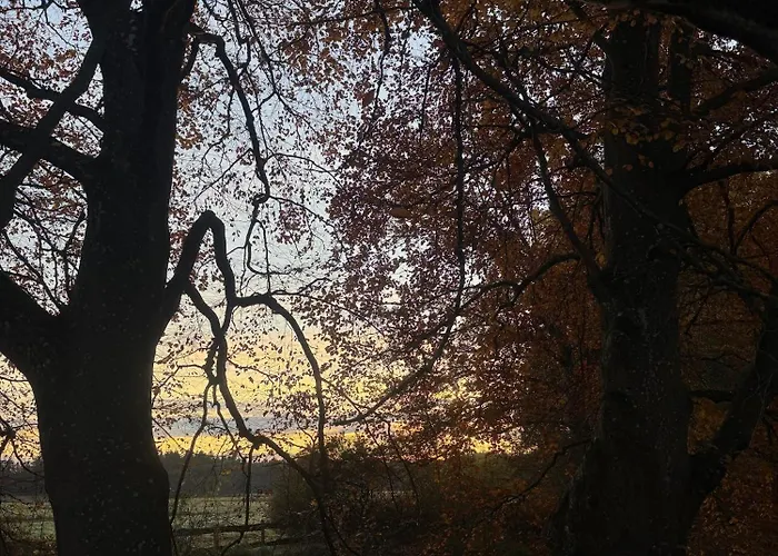 Gutshaus Gottin Gbr Villa Warnkenhagen (Rostock)