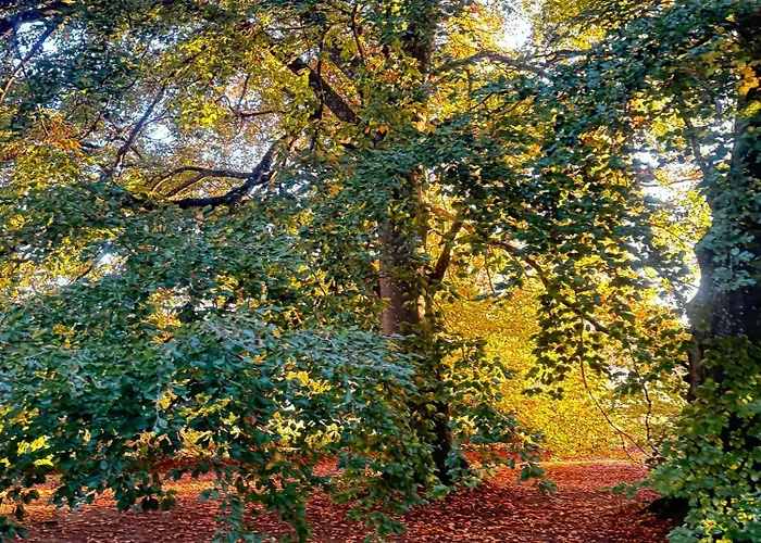 Gutshaus Gottin Gbr Warnkenhagen (Rostock)